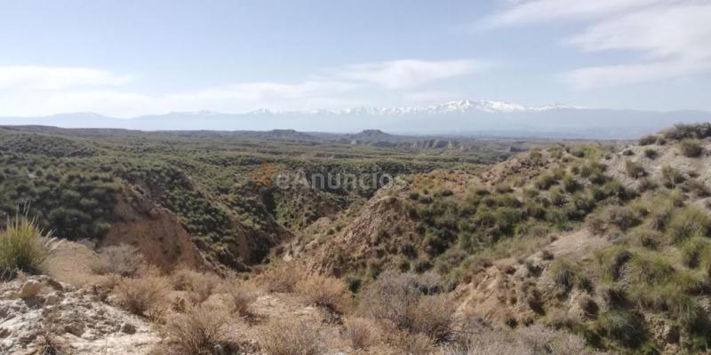 Terreno en venta en Fonelas de 4560000 m2