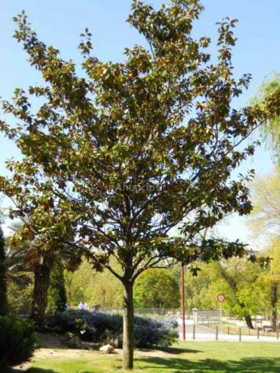 Piso en venta en Dúrcal de 100 m2