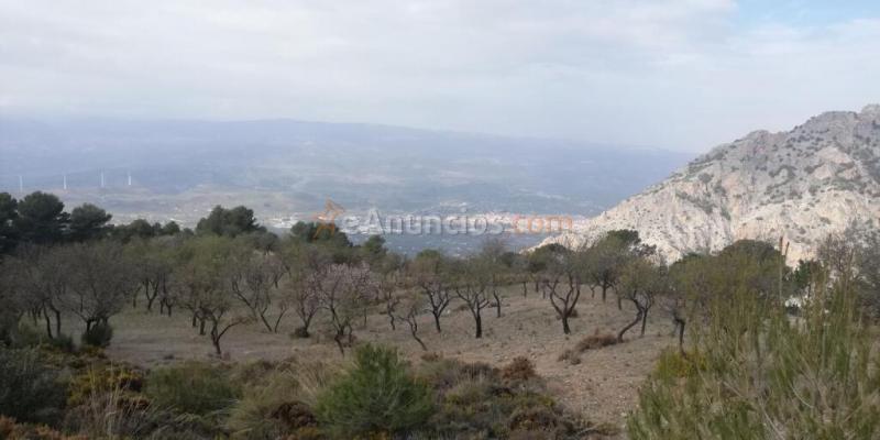 Terreno en venta en Nigüelas de 32720 m2
