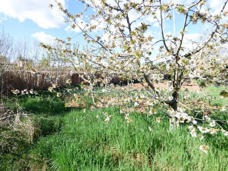 FINCA RÚSTICA DE 2.200 M2 CON AGUA DE ACEQUIA ILIMITADA, ZONA AGRÍCOLA Y BOSCOSA EN VENTA EN MANRESA