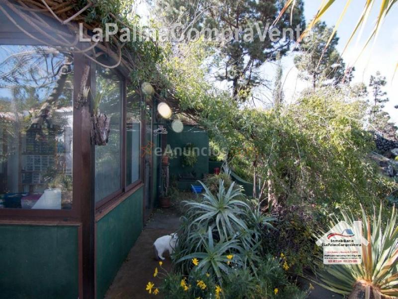 Casa-Chalet en Venta en Paso, El Santa Cruz de Tenerife