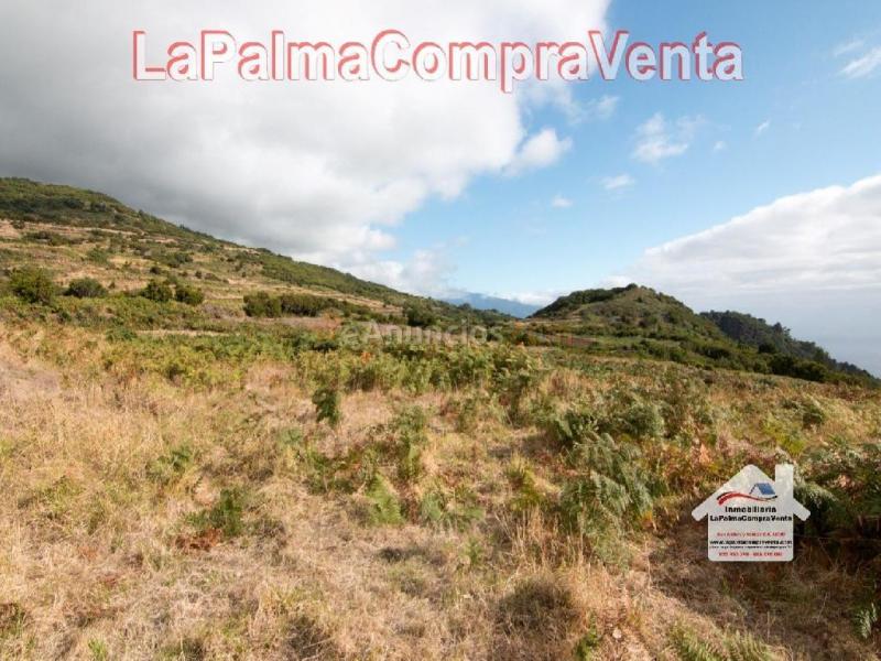 Solar residencial en Venta en Villa De Mazo Santa Cruz de Tenerife