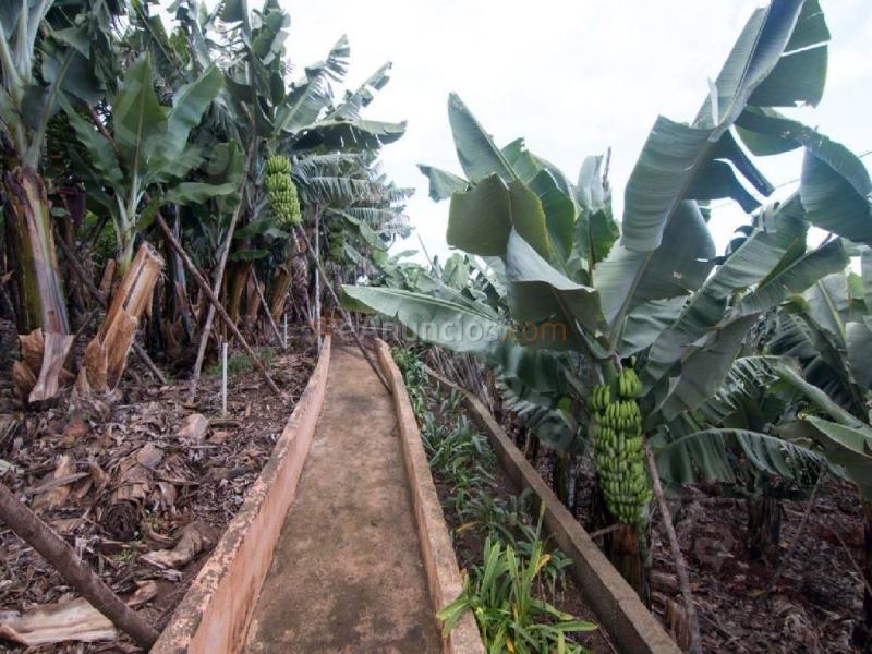 Casa de campo-Masía en Venta en San Andres Y Sauces Santa Cruz de Tenerife