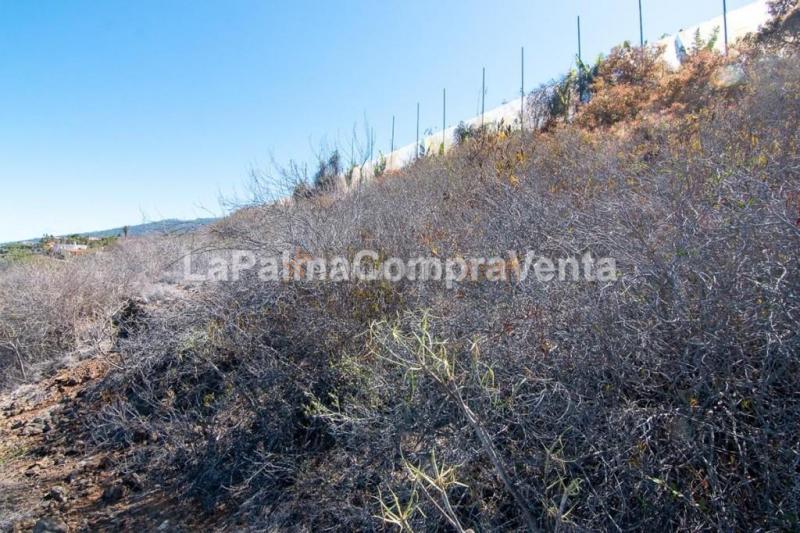 Suelo rústico en Venta en Tijarafe Santa Cruz de Tenerife