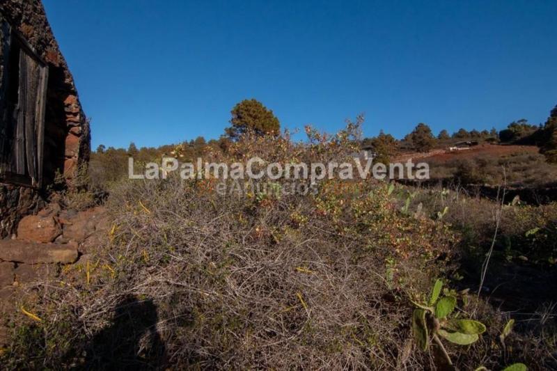 Suelo urbanizable en Venta en Puntagorda Santa Cruz de Tenerife