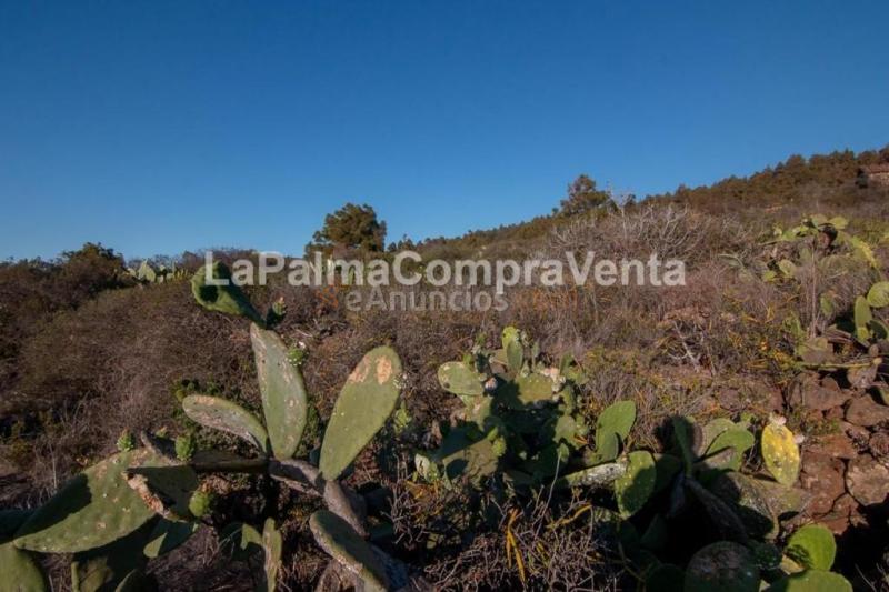 Suelo urbanizable en Venta en Puntagorda Santa Cruz de Tenerife