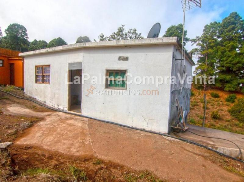 Suelo rústico en Venta en Roque Faro Santa Cruz de Tenerife