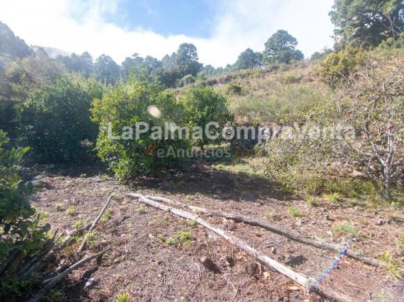 Suelo rústico en Venta en Roque Faro Santa Cruz de Tenerife