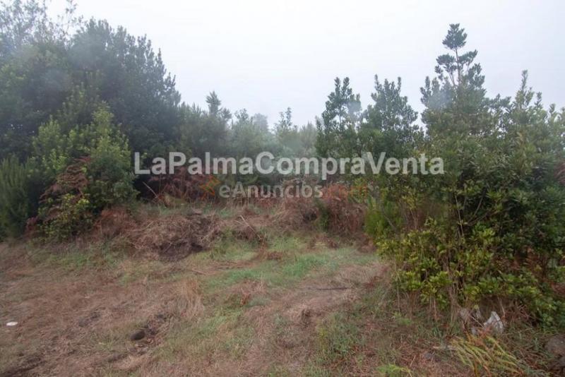 Suelo rústico en Venta en Roque Faro Santa Cruz de Tenerife