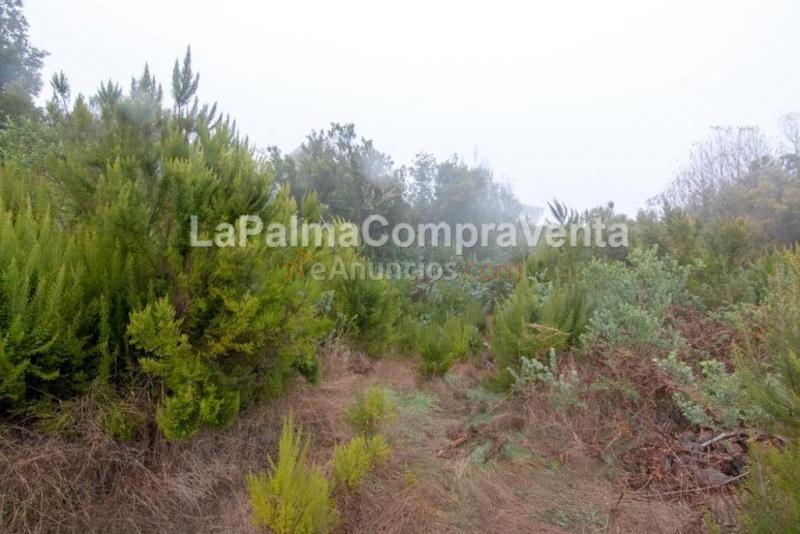 Suelo rústico en Venta en Roque Faro Santa Cruz de Tenerife