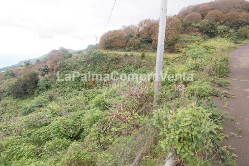 Casa-Chalet en Venta en San Andres Y Sauces Santa Cruz de Tenerife