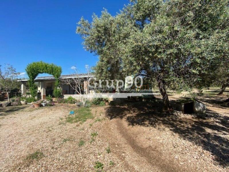 Fantástica finca con casa y piscina en la Galera
