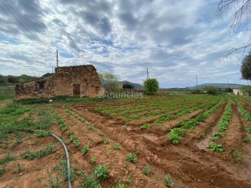 Finca a rehabilitar con agua y luz en entorno idílico