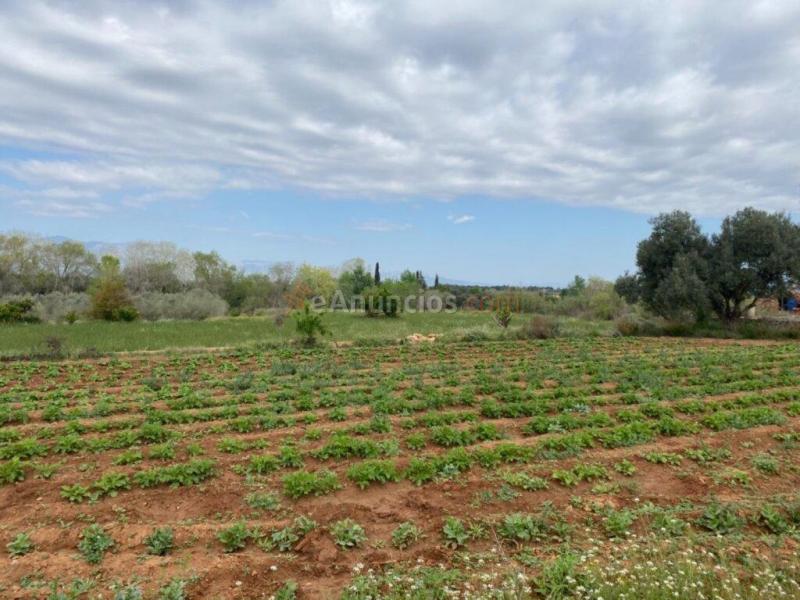 Finca a rehabilitar con agua y luz en entorno idílico
