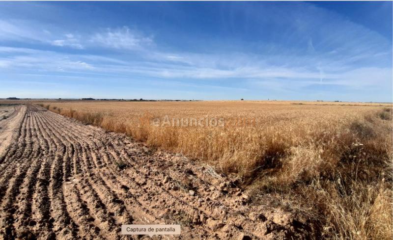 Finca rustica de secano 23.265 m2