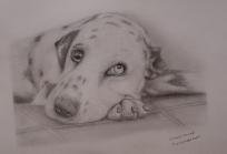 Retratos a lápiz y carboncillo personalizados