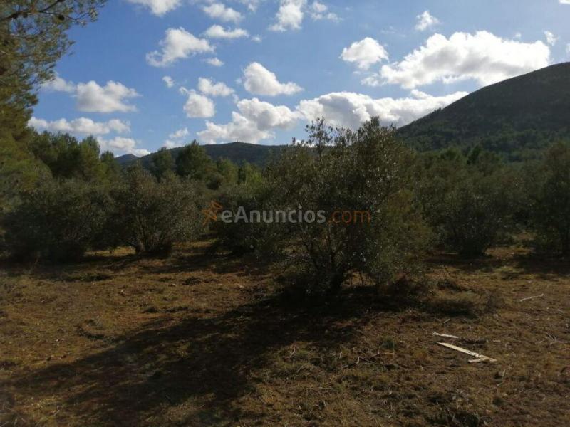 Parcela en Venta en Alcalalí Alicante