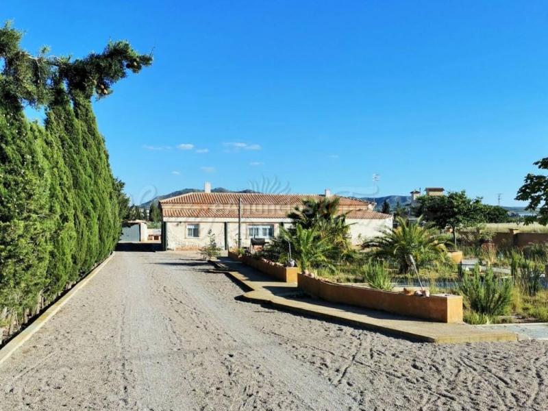 Casa-Chalet en Venta en Caudete Albacete