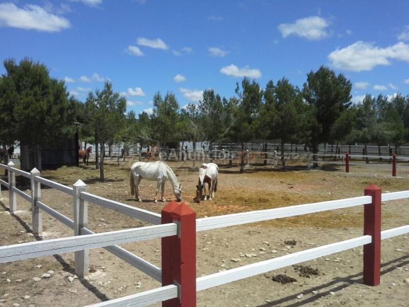 Casa de campo-Masía en Venta en Yecla Murcia