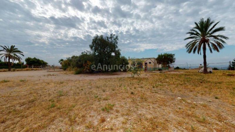 Casa-Chalet en Venta en Albatera Alicante