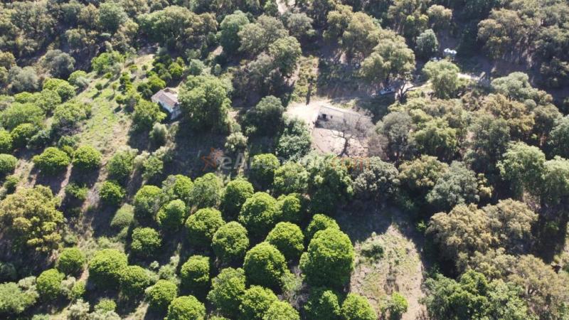 Casa de campo-Masía en Venta en Farajan Málaga