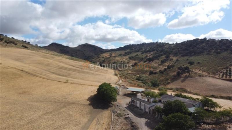 Edificio singular en Venta en Ronda Málaga
