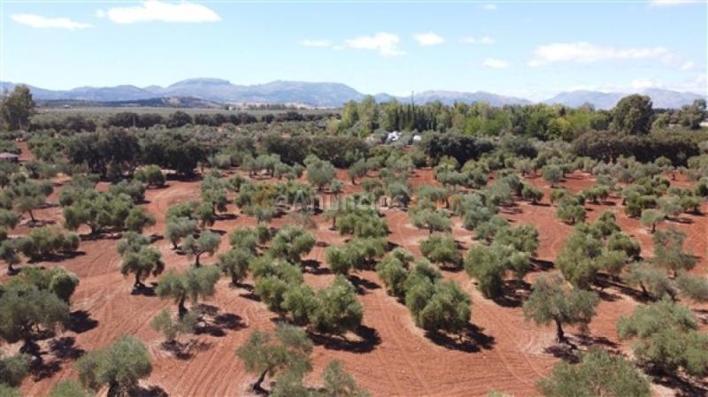 Casa de campo-Masía en Venta en Ronda Málaga