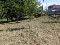 Suelo urbanizable en Venta en Torneiros (San Salvador) Pontevedra