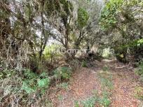 Suelo rústico en Venta en Roque Faro Santa Cruz de Tenerife
