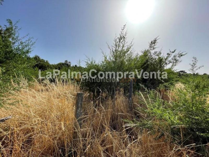Suelo rústico en Venta en Roque Faro Santa Cruz de Tenerife