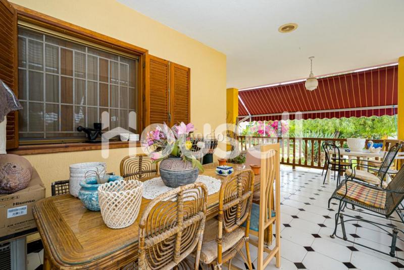 Chalet en venta de 500 m Camino de Ernesto, 03296 ElcheElx (Alacant)