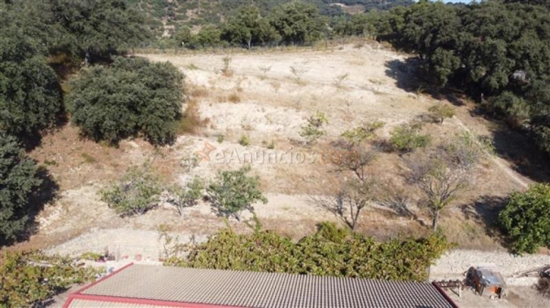 Suelo rústico en Venta en Ronda Málaga