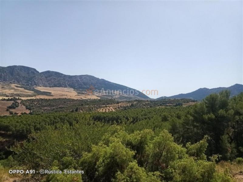 Parcela en Venta en Burgo, El Málaga