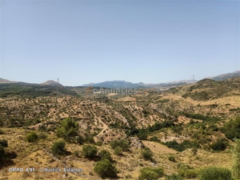 Parcela en Venta en Burgo, El Málaga