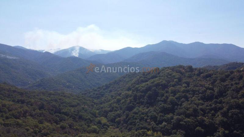 Suelo rústico en Venta en Benarraba Málaga