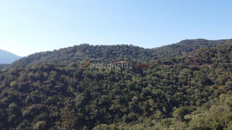 Suelo rústico en Venta en Benarraba Málaga