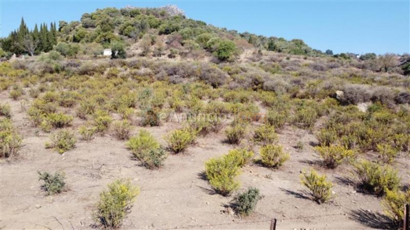 Suelo rústico en Venta en Gaucin Málaga