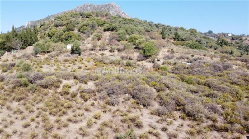 Suelo rústico en Venta en Gaucin Málaga