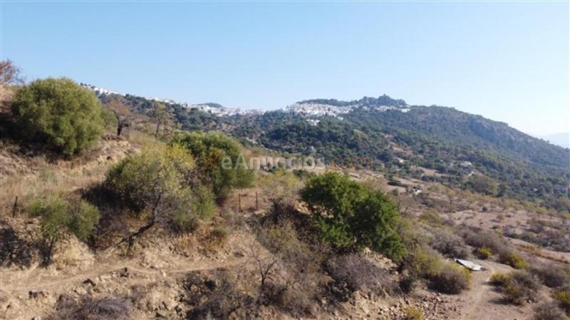 Suelo rústico en Venta en Gaucin Málaga