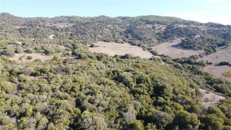 Parcela en Venta en Gaucín Málaga