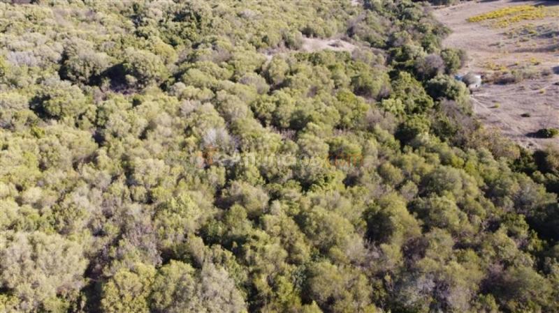 Parcela en Venta en Gaucín Málaga