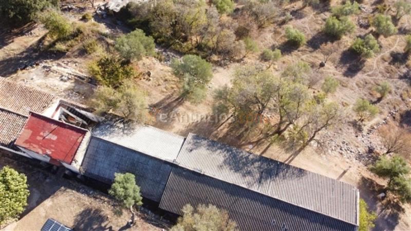 Casa de campo-Masía en Venta en Benaojan Málaga