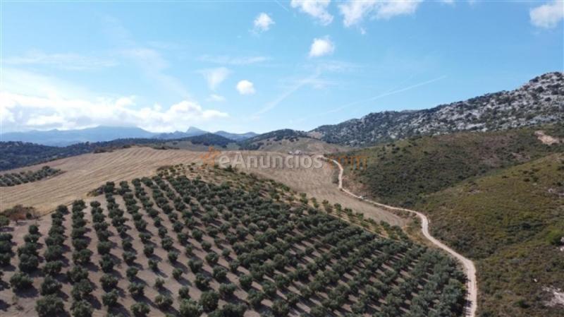 Parcela en Venta en Cuevas Del Becerro Málaga