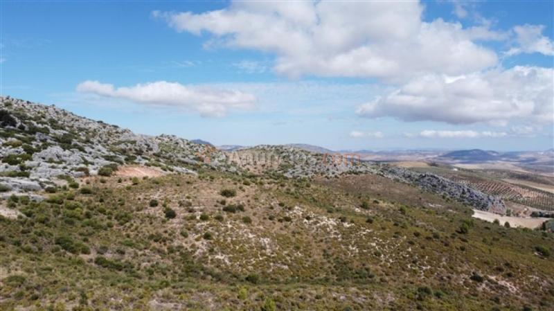 Parcela en Venta en Cuevas Del Becerro Málaga