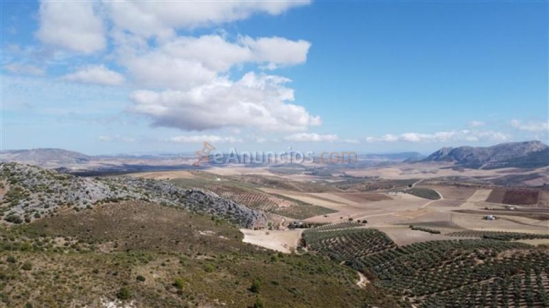 Parcela en Venta en Cuevas Del Becerro Málaga