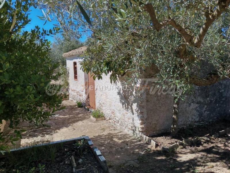 Casa de campo-Masía en Venta en Biar Alicante