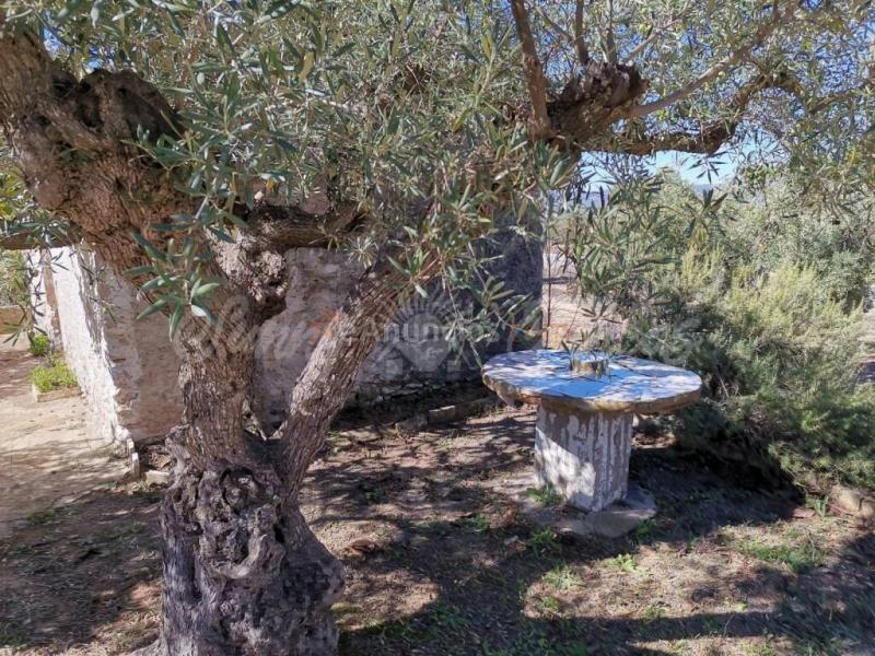 Casa de campo-Masía en Venta en Biar Alicante