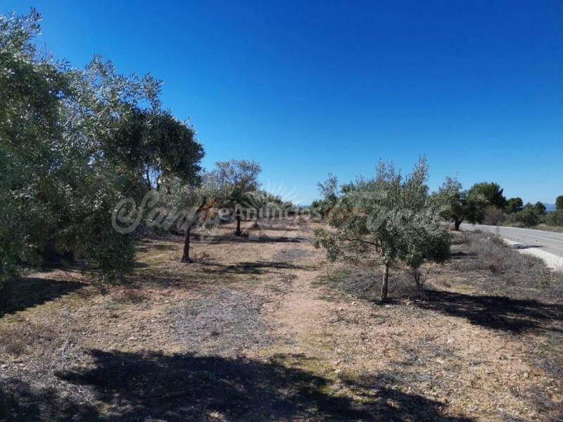 Casa de campo-Masía en Venta en Biar Alicante