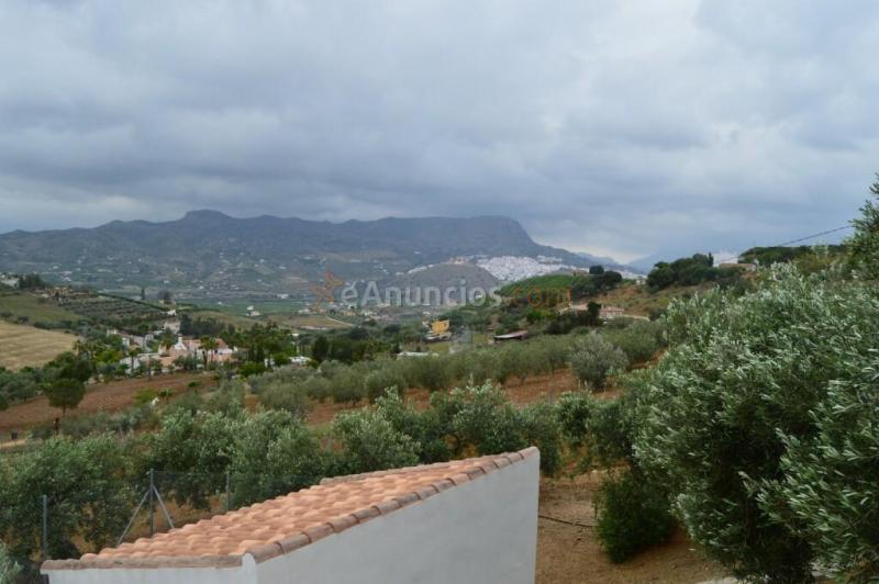 Casa de campo-Masía en Venta en Alora Málaga