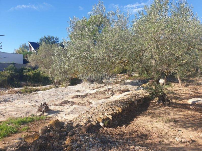 Terreno en Codonyol - Alcanar